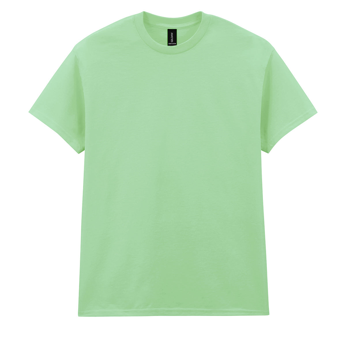 Heavy Cotton™ adult t-shirt – Mint
